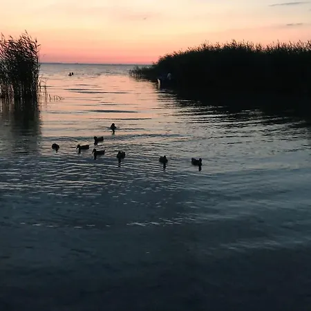 Hébergement de vacances Ferienhaus-nationalparkidylle Rechlin